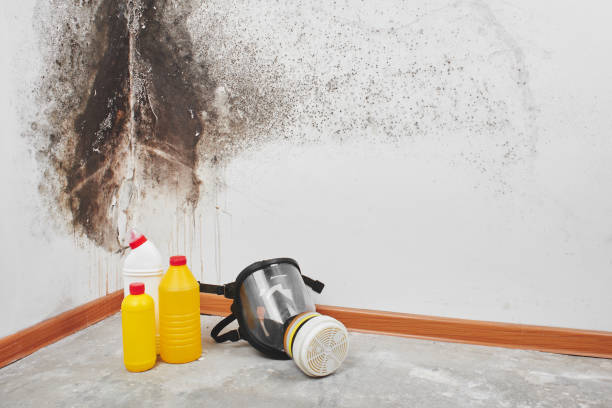 Best Mold Remediation  in Pink, OK