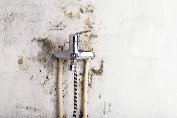 Best Emergency Mold Removal  in Pink, OK