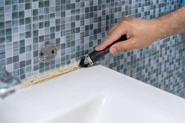 Best Residential Mold Removal  in Pink, OK