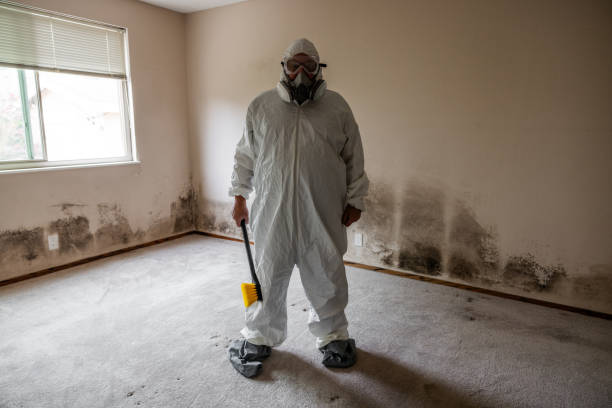 Best Commercial Mold Removal  in Pink, OK