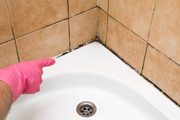 Best Affordable Mold Removal  in Pink, OK